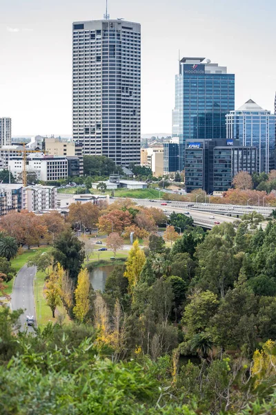 Paisaje Ciudad Perth Desde Kings Park —  Fotos de Stock