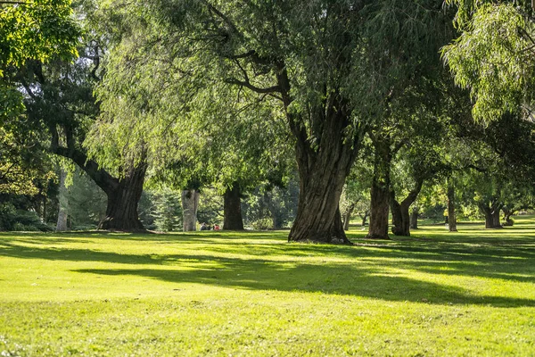 Krajobraz Królów Park Zielone Przyrodnicze Sceny — Zdjęcie stockowe