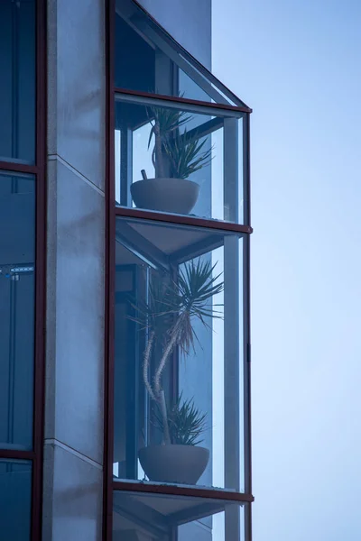 Dettail of architecture and interior design plant and glass window