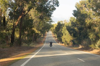 Ağaçlar ve motosikletli adam dolu bir yolculuk