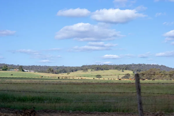 Landskap Naturen Perth Omgivningar — Stockfoto