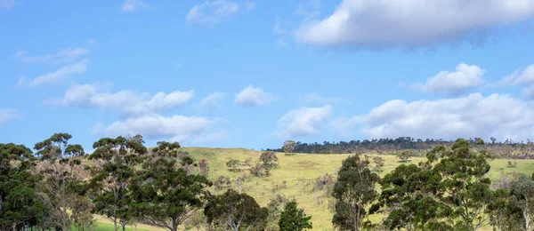Landskap Naturen Perth Omgivningar — Stockfoto