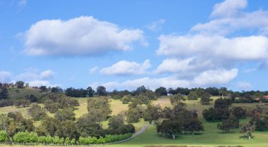 Perth çevresi doğasımanzara