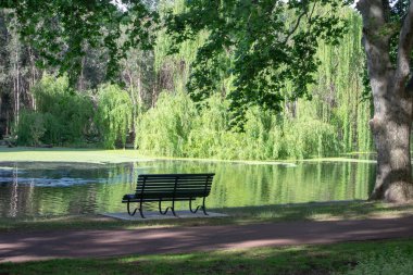 Manzara Hide park güzel ağaçlar ve renk