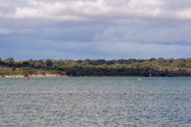 Kuğu nehri ve yelkenli tekne manzara