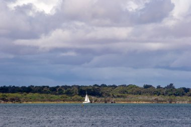 Kuğu nehri ve yelkenli tekne manzara