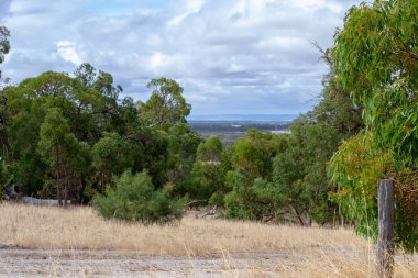 Perth outback Manzara, güzel yeşil