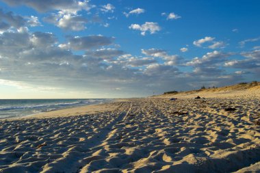 Avustralya'da gün batımında plaj manzarası