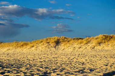 Avustralya'da gün batımında plaj manzarası