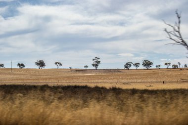 Avustralya taşrasının kurak ve ıssız manzarası