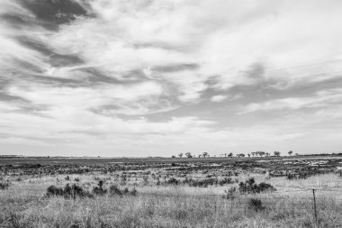 Avustralya taşrasının kurak ve ıssız manzarası