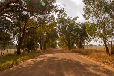 Yol Manzara outback ağaçlar güneş ışığı Perth