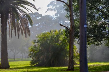 Doğada Perth çevresi duman manzara