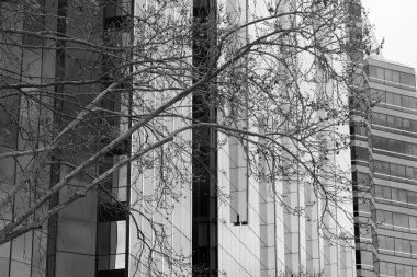 Perth binalarının mimari dettails