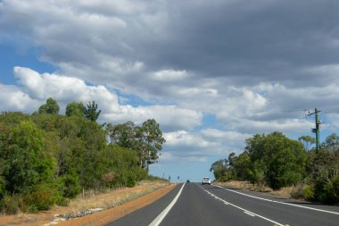Ağaçlarla dolu yol gezisi manzarası