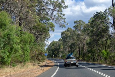 Ağaçlarla dolu yol gezisi manzarası