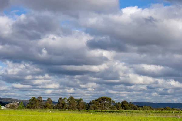 Landskap Naturen Perth Omgivningar — Stockfoto