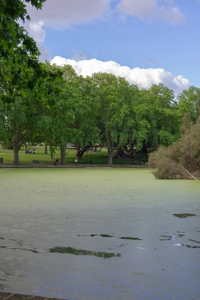 Paisaje Ocultar Parque Bellos Árboles Color — Foto de Stock