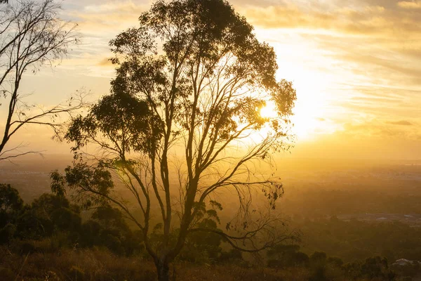 Beautiful Sunset Landscape Mundarin Area Sillouettes Trees — Stock Photo, Image