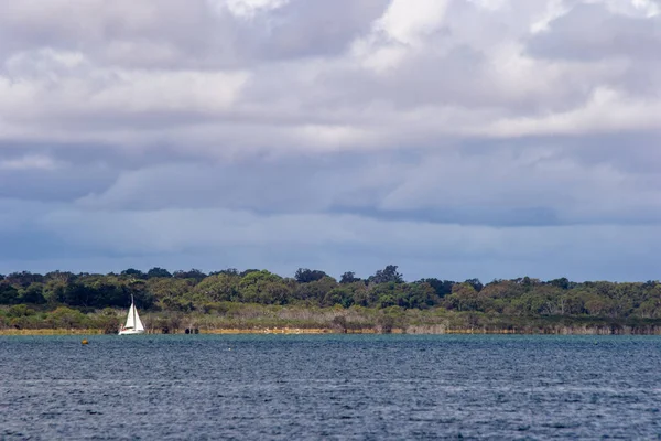 Paisaje Del Río Cisne Velero —  Fotos de Stock