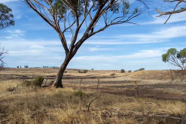 Torrt Och Desertiskt Landskap Perth Outback — Stockfoto