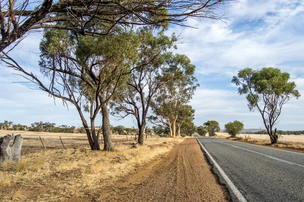 Arid Pustynie Krajobraz Perth Outback — Zdjęcie stockowe