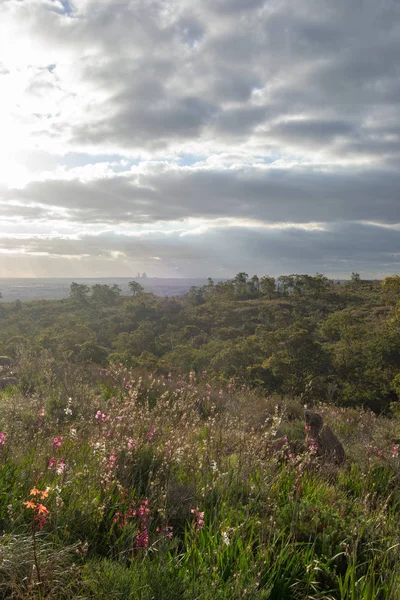 Horizontal landscape of the hills at mundaring in Perth at spring