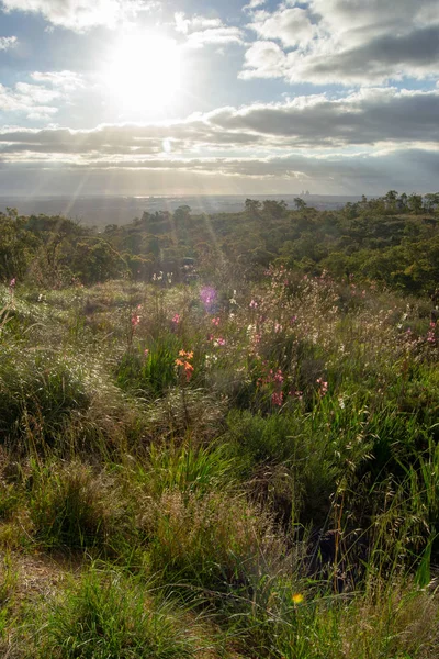 Horizontal Landscape Hills Mundaring Perth Spring — Stock Photo, Image