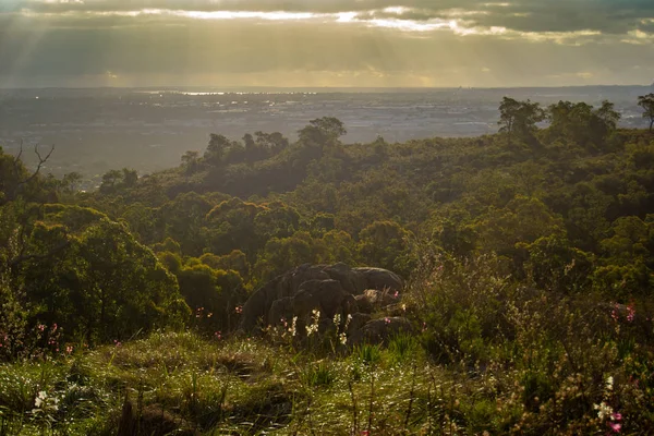 Landscape Nature Perth Australia — Stock Photo, Image