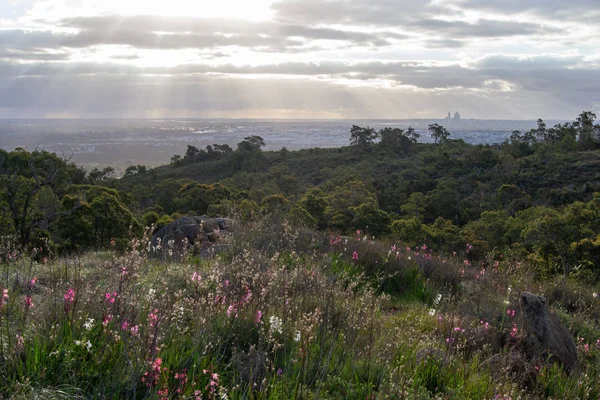 Landscape Nature Perth Australia — Stock Photo, Image