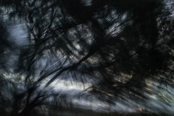 Formas Abstractas Movimiento Difuminación Naturaleza Atardecer — Foto de Stock