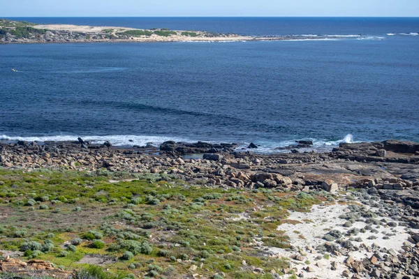 Paesaggio Una Spiaggia Isolata Australia Nella Giornata Sole — Foto Stock