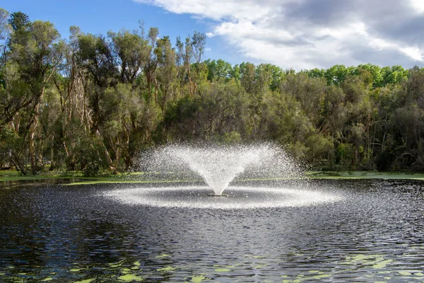 Landskap Hide Park Beautifull Träd Och Färg Royaltyfria Stockfoton