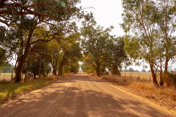 Väg Landskap Outback Träd Sön Ljus Perth Stockfoto