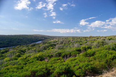 Doğada bitki örtüsü dolu güneşli bir günde Margaret nehir manzara