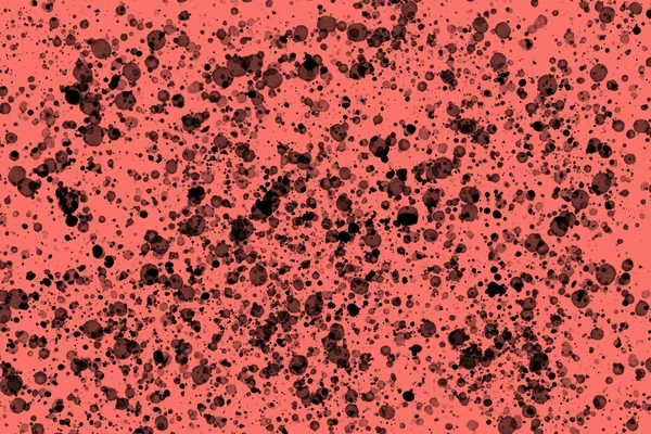 Lebende Korallenfarbe Des Jahres 2019 Helle Schwarze Zufällige Runde Farbe — Stockfoto
