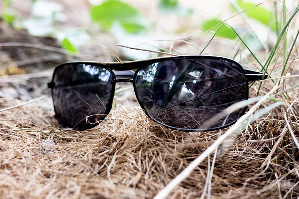 Zonnebril. Zonnebril op een donkere achtergrond. Zonnebrillen onder de planten — Stockfoto