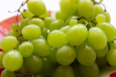 Beyaz ahşap masa üzerinde plaka olgun yeşil üzüm, üst görünümü. Masadaki tabakta yeşil üzümler. Masada kırmızı bir tabakta yeşil üzüm.