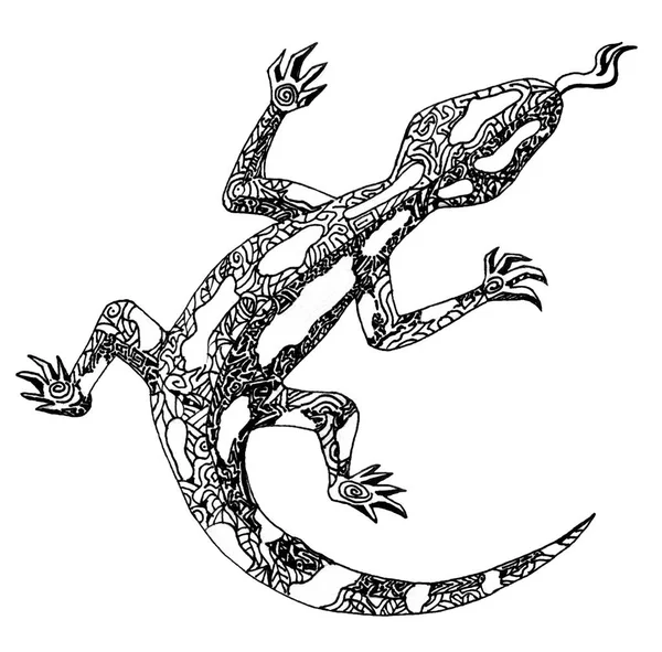 Isolated Image Salamander White Background Drawn Capillary Pen — Stock Photo, Image