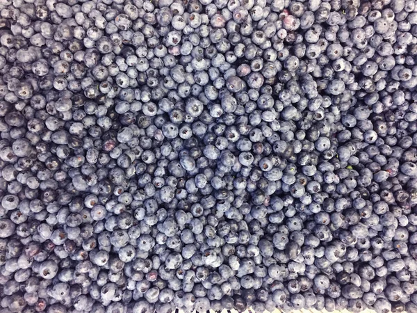 Many Berries Sweet Blueberries — Stock Photo, Image