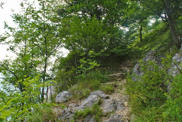 Nationalpark Gran Sasso Und Die Monti Della Laga Italien — Stockfoto