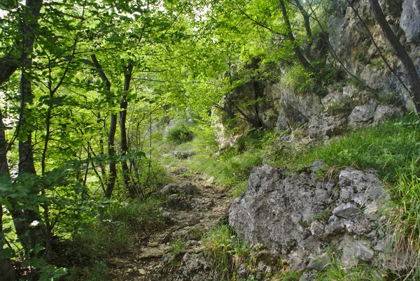 Nationalpark Gran Sasso Und Die Monti Della Laga Italien — Stockfoto