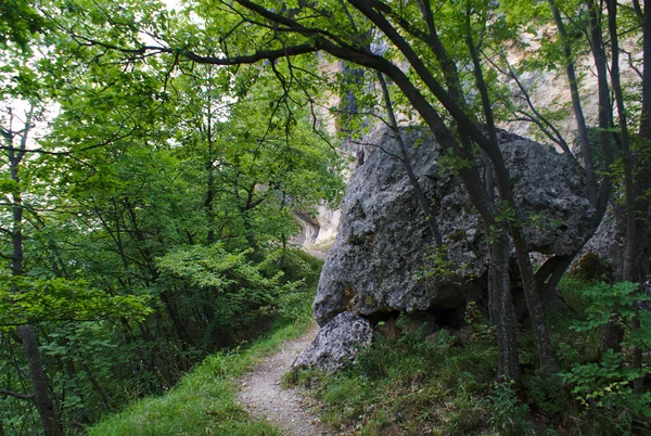 Gran Sasso Milli Parkı ve Italya 'daki Monti della Laga