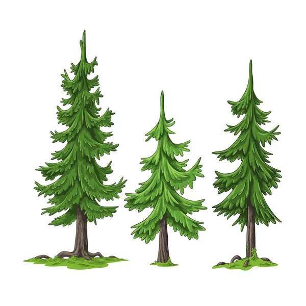 Raccolta di alcuni alberi — Vettoriale Stock
