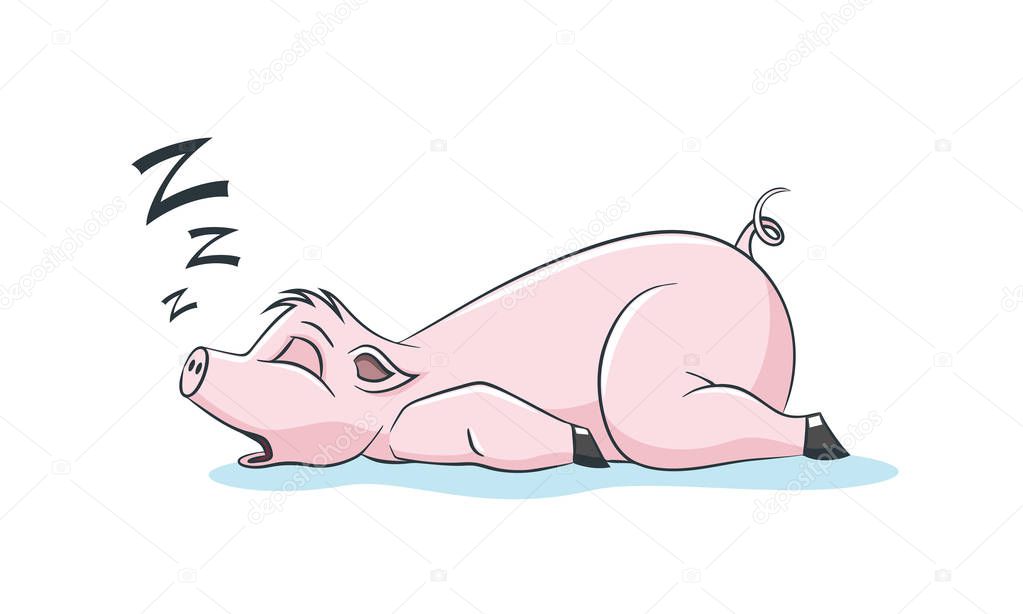 Funny Sleeping Pig