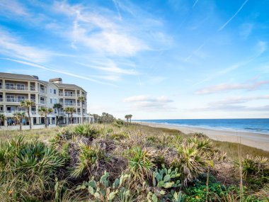 Güneşli bir öğleden sonra ve uçlu yerel bitki örtüsü Florida Sawgrass plaj manzarası