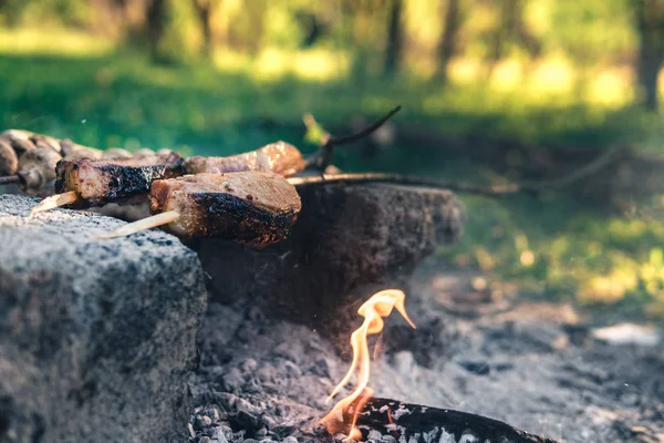 Mantarlar ve et şişler ahşap, dallar, kazıkta yemek pişirme, şenlik ateşi, kamp konsepti