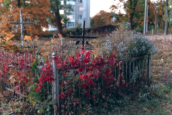 Старые Надгробия Руины Осеннем Лесу Кладбище Вечернее Время Избирательный Фокус — стоковое фото