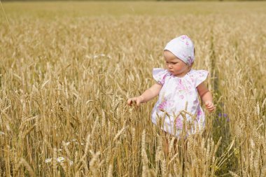 Kız mısır tarlasında duruyor ve onları inceliyor.