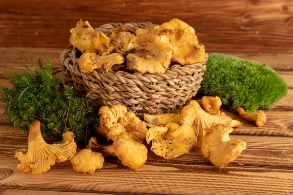 Mand Van Wild Organische Cantharellen Paddestoelen Oude Houten Tafel — Stockfoto